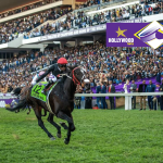 Countdown to the Hollywoodbets Durban July 2024