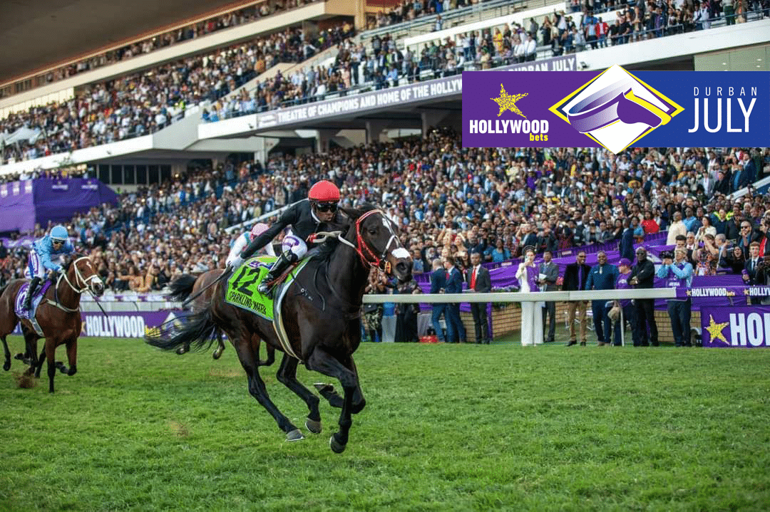 Countdown to the Hollywoodbets Durban July 2023 Beluga Hospitality