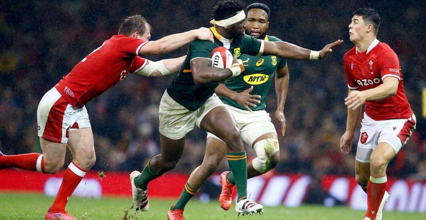 South Africa vs Wales International Rugby - Beluga Hospitality - bg