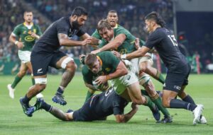 Springboks VS All Blacks Tickets | Beluga Hospitality