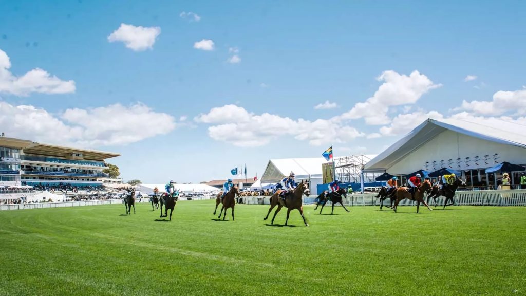 horse racing