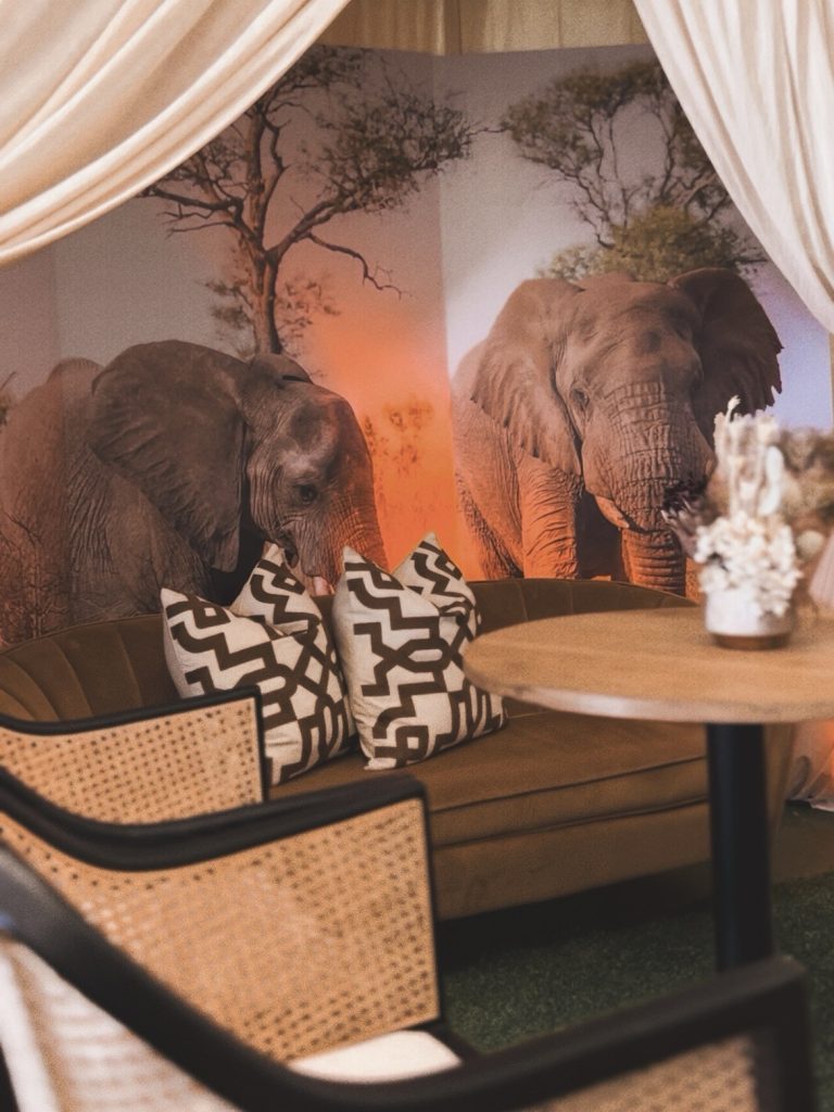 Beluga Hospitality guests at G20 Ministerial Cocktail Function at Johannesburg — photo 4